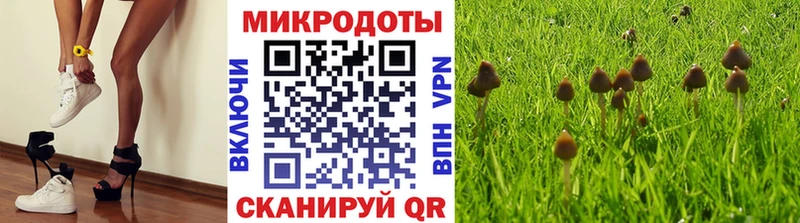 Купить где  Заозёрск  Галлюциногенные грибы Cubensis 